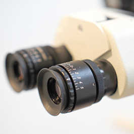 マイクロスコープ