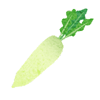 大根のイラスト