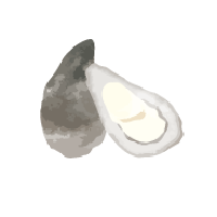 牡蠣のイラスト